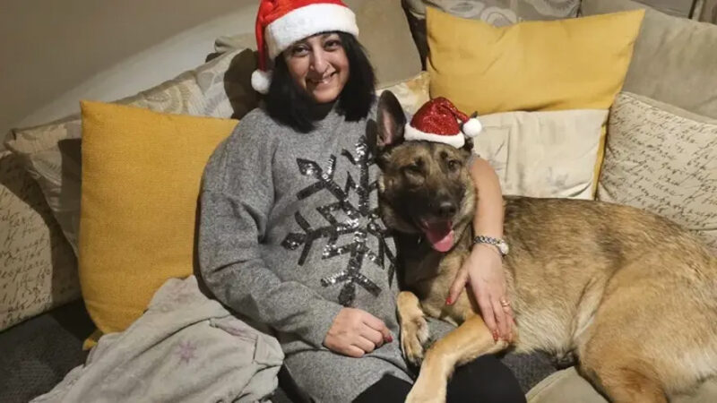 Elindeki yarayı köpek yaladı, hayatı karardı!