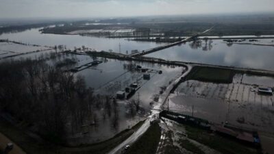 Meriç Nehri taştı: Tarım arazileri sular altında