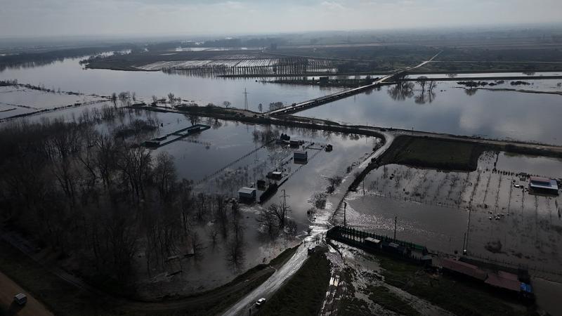 Meriç Nehri taştı: Tarım arazileri sular altında