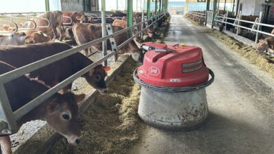 Bursa’daki 100 dönümlük bu büyük yatırımda işler robotlara emanet