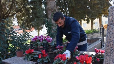 Bursa Gemlik’te şehitliklere titiz bakım