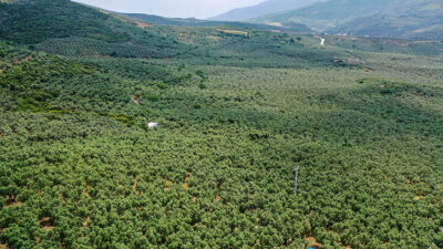 Bursalı sanayiciden kritik çağrı; ‘El birliğiyle batırdık, el birliğiyle kurtaralım’