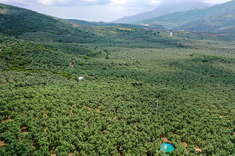 Bursalı sanayiciden kritik çağrı; ‘El birliğiyle batırdık, el birliğiyle kurtaralım’