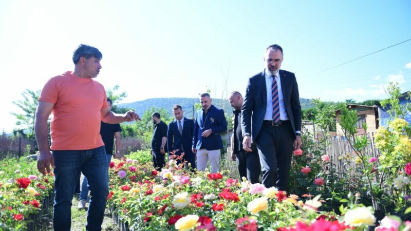 Kestel Belediyesi, ilçede faaliyet gösteren süs bitkileri üreticilerine yönelik destek