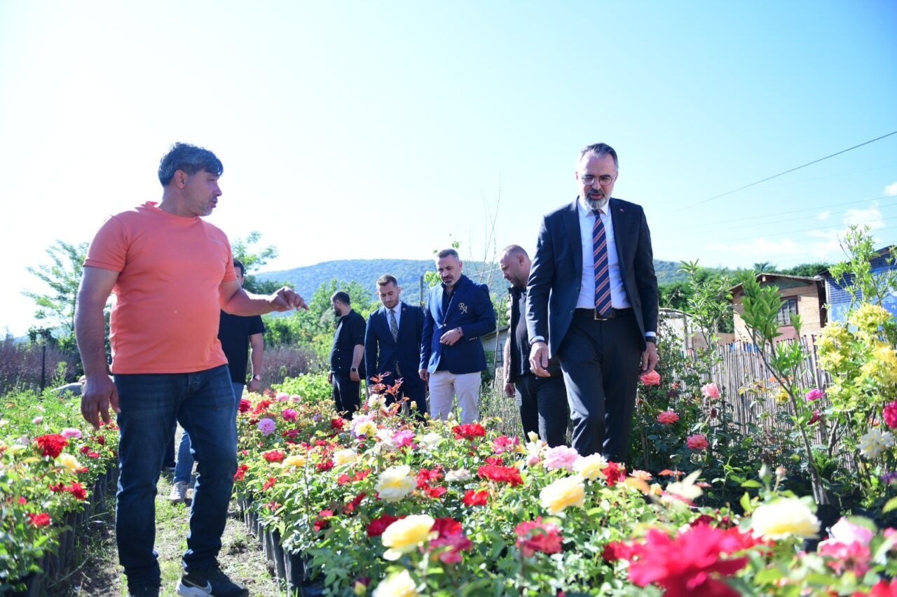 Bursa’nın süs bitkileri dünya pazarına açılıyor