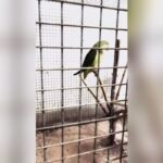 Bursa’da şok baskın! Hemen el konuldu