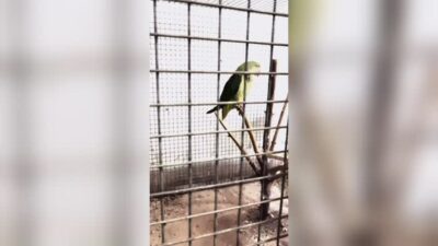 Bursa’da şok baskın! Hemen el konuldu