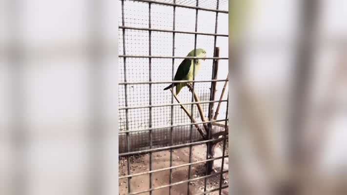 Bursa’da şok baskın! Hemen el konuldu