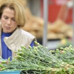 Sektör geçen yıla göre hareketli!