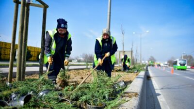 Bursa’ya yeşil dokunuş