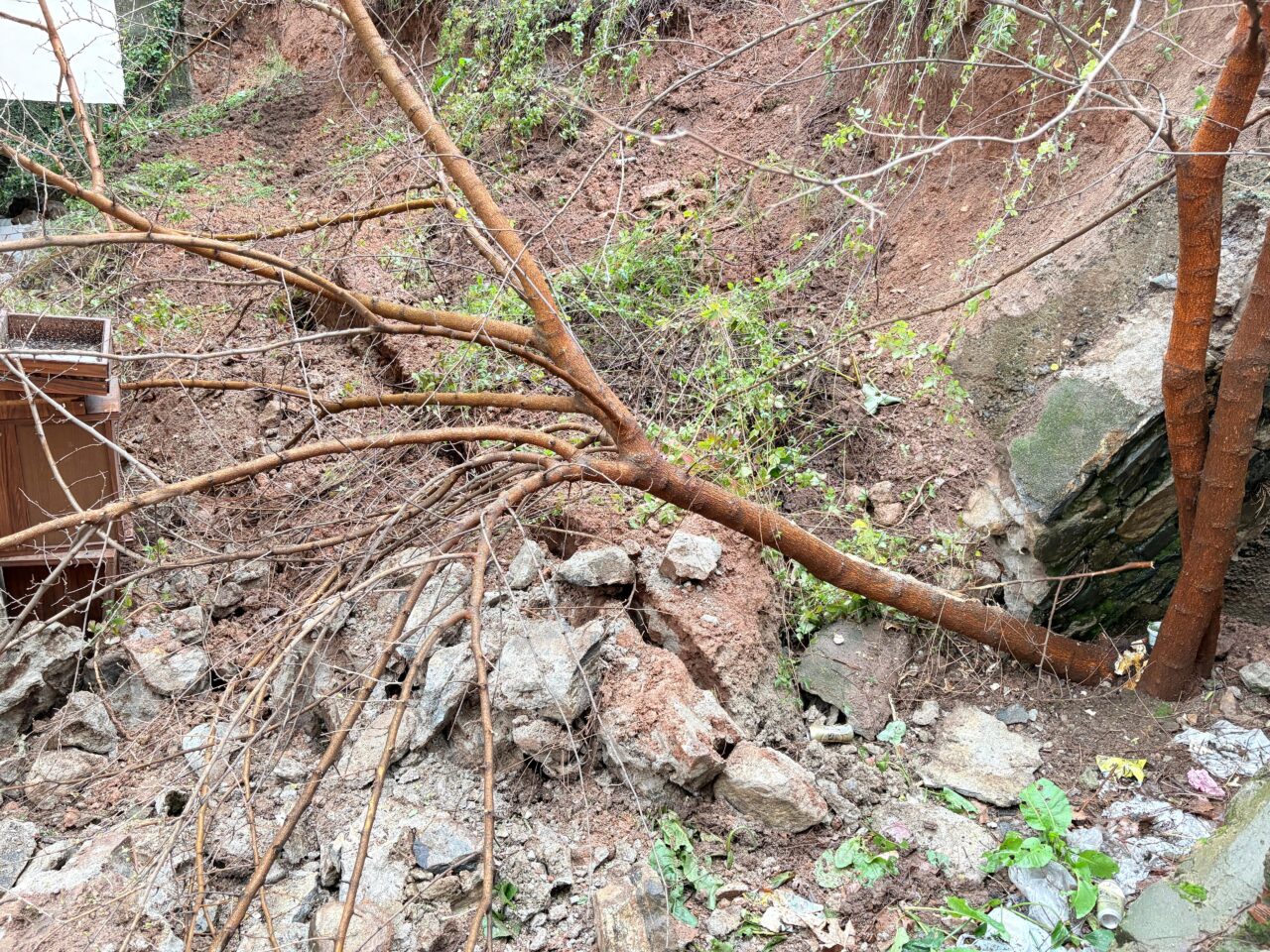 501230bd 0551 488e aeb6 9065a87adc22