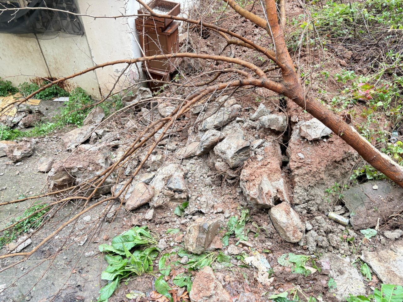 86b8ef51 c4e1 474d 914f 9eca78c7f723