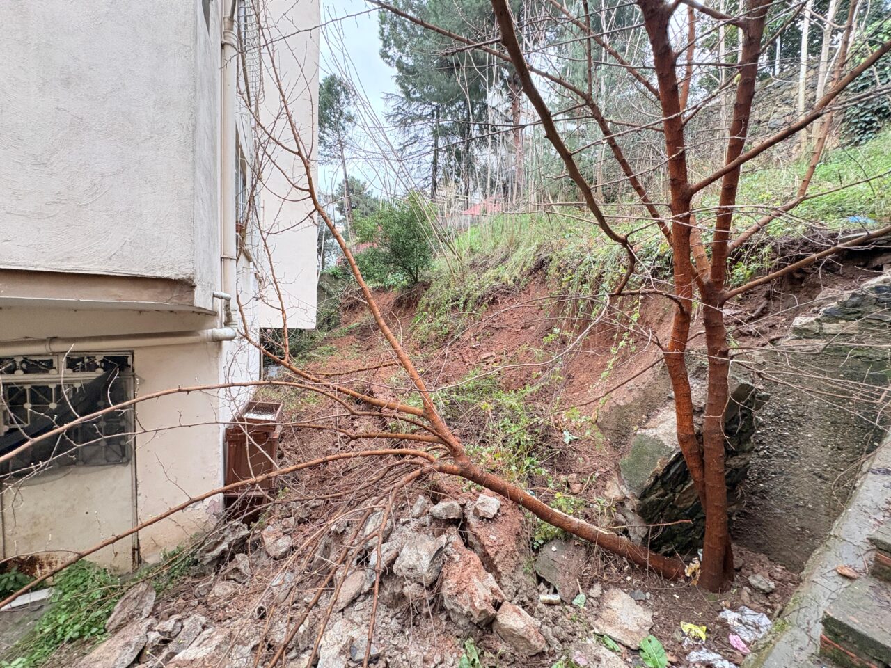 8a393546 5716 4179 8ba5 c8395038ff08