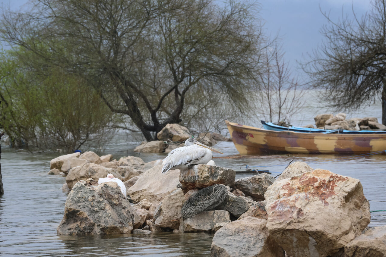 Bursa'daki 'Küçük Venedik' sular altında 9 aa 20260330 40967091 40967075 bursada2gunduretkiliolansaganaksonucuuluabatgolununsuseviyesiyukseldi
