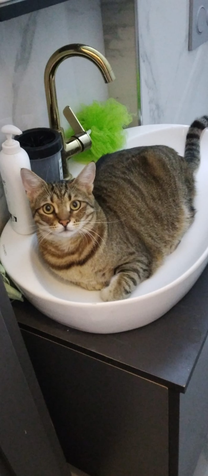 ad73a9db a942 450d 8a12 9a8da9af0a70