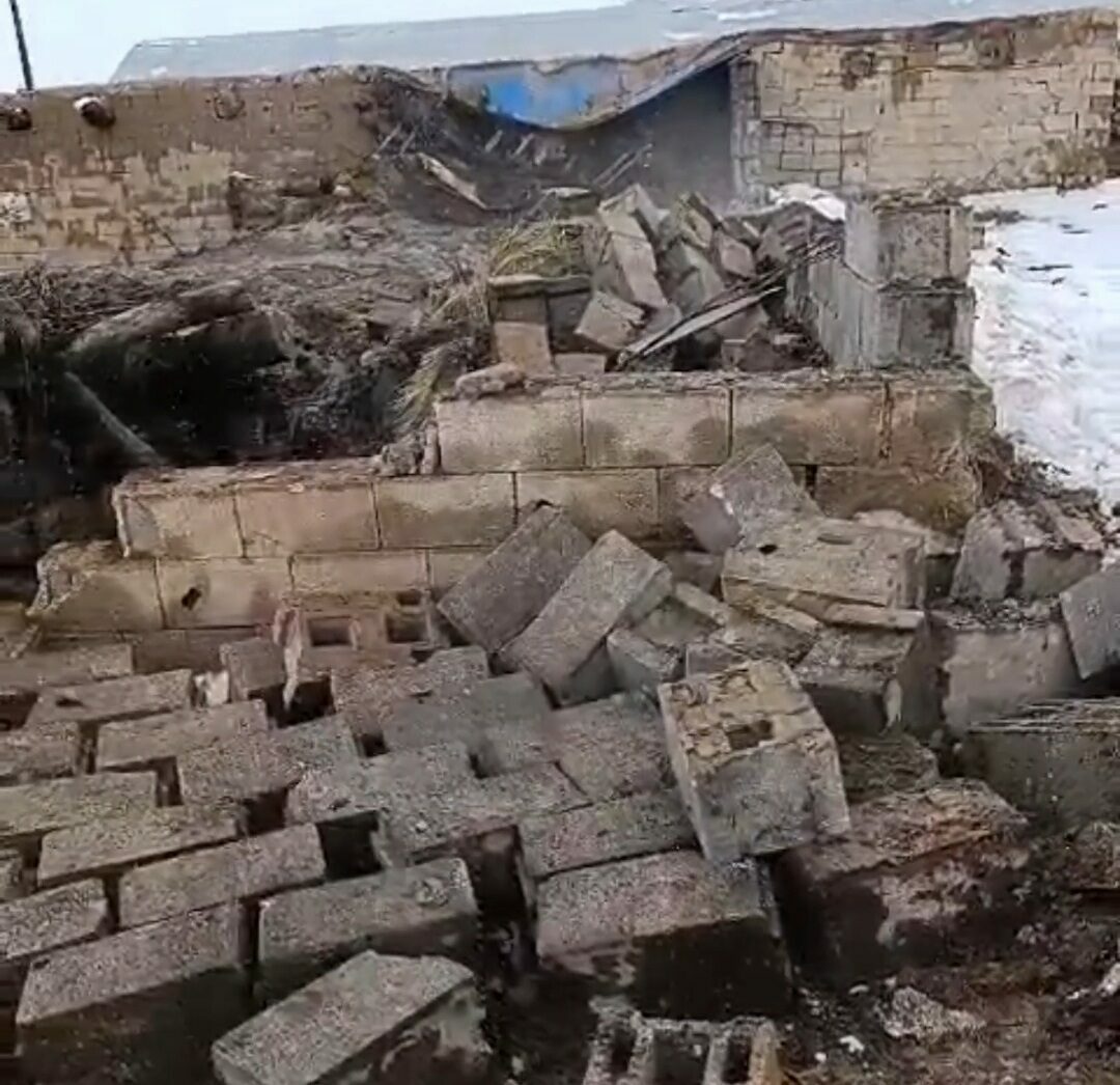 Ahır çöktü; 20 küçükbaş öldü