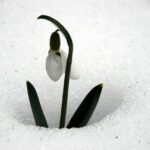 Özel üretim parselleri oluşturuluyor!