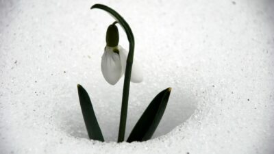 Özel üretim parselleri oluşturuluyor!