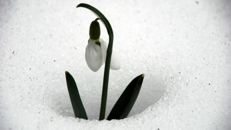 Özel üretim parselleri oluşturuluyor!