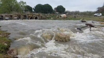 Bursa’nın kuruyan deresi bu hale geldi, alarm veren göl hayat buldu