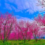 Bursa’da kartpostallık görüntüler!