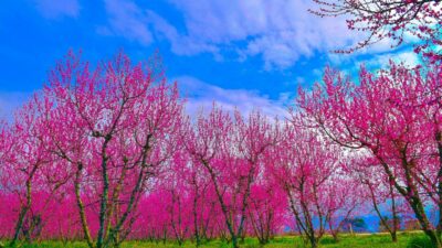 Bursa’da kartpostallık görüntüler!