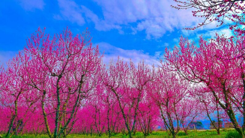 Bursa’da kartpostallık görüntüler!