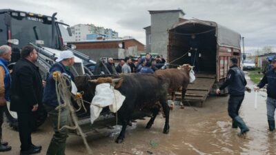Karacabey’de günlerdir etkili olan yoğun yağışın ardından oluşan su baskını