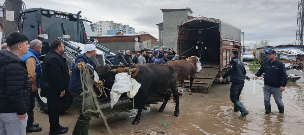 Bursa’nın Karacabey ilçesinde yağmur sonrası yoğun mesai Karacabey’de günlerdir etkili olan yoğun yağışın ardından oluşan su baskını