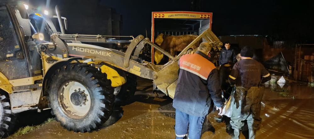 Bursa'nın Karacabey ilçesinde yağmur sonrası yoğun mesai 4 aw67309105