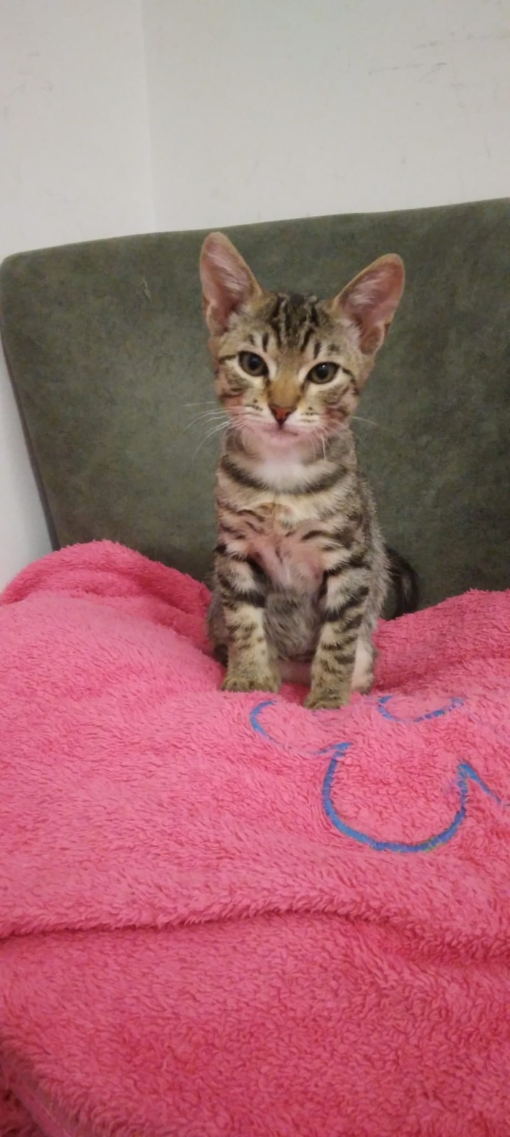 b82c3695 eac7 4018 ae48 5016c24ac1fc