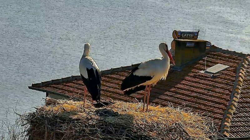 Bursa’da beklenen buluşma gerçekleşti