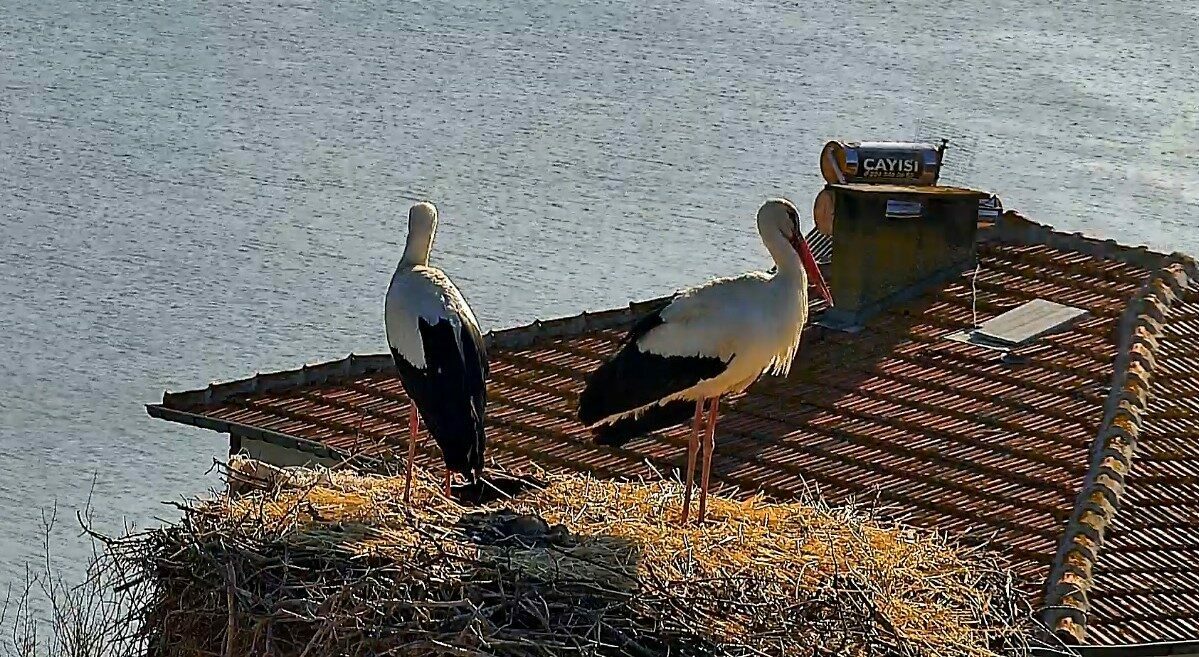 Bursa’da beklenen buluşma gerçekleşti