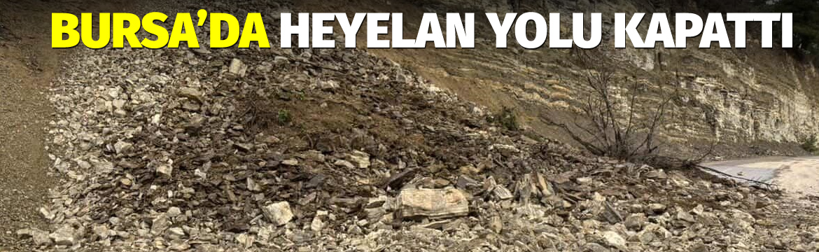 Bursa’nın İnegöl ilçesine bağlı kırsal