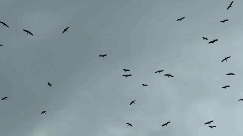 Bursa semalarında görsel şölen Bursa semalarında görsel şölen