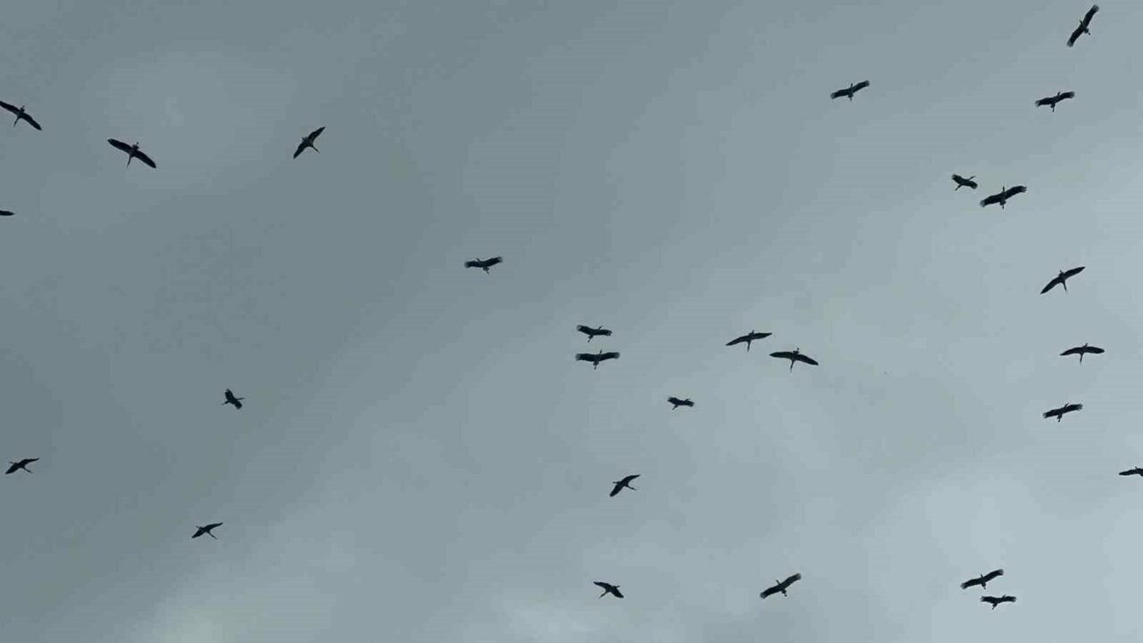 Bursa semalarında görsel şölen