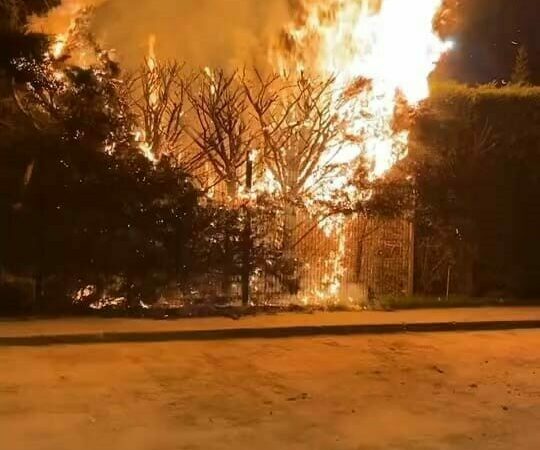 Bursa’nın İnegöl ilçesinde bulunan Botanik Park’ta çıkan yangında bir ağaç