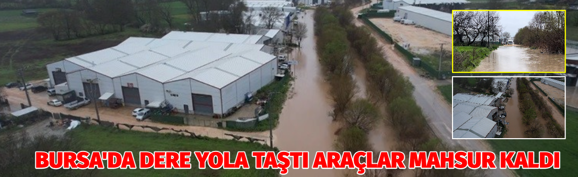 Bursa'nın Nilüfer ilçesi Ürünlü mahallesindeki