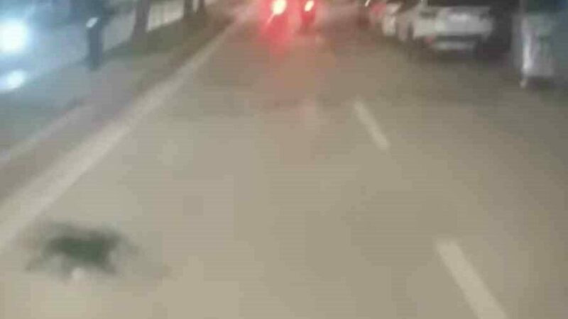 Bursa’da ’dur’ ihtarına uymadı, 200 bin TL cezayı yedi