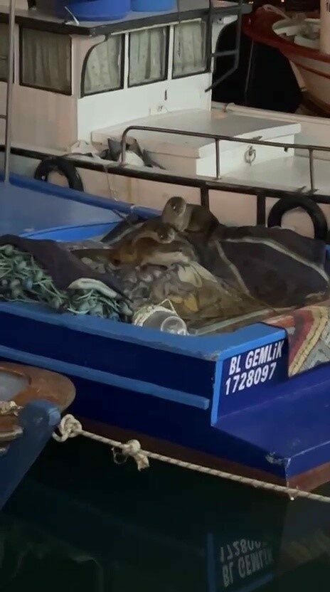 Bursa’da limanda sürpriz ziyaretçiler!