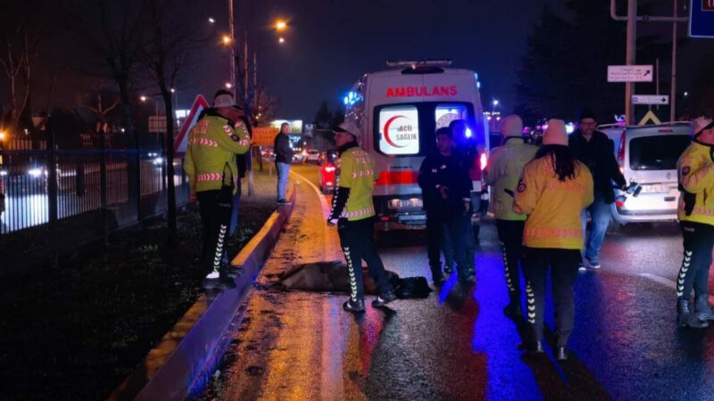 Bursa’nın İnegöl ilçesinde otomobilin çarptığı yaya Tanju Karabudak (52), hayatını