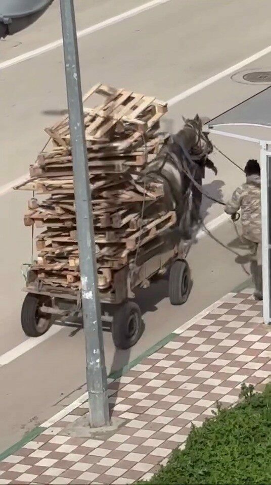 Bursa’da pes dedirten görüntüler Bursa’da pes dedirten görüntüler