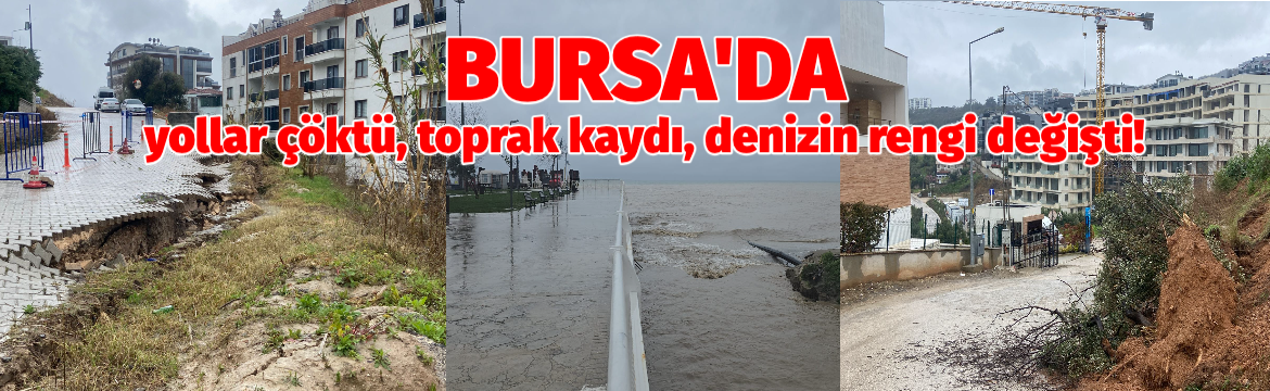 Bursa'nın Gemlik ve Mudanya ilçelerinde