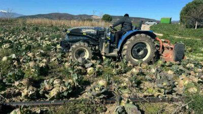 Bursa’da yüzlerce dönüm ürün çöp oldu! Pazarda 70 lira ama…