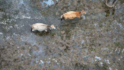 Bursa’nın doğa harikasına can suyu!