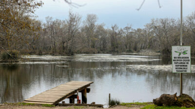 Bursa’nın doğa harikasına can suyu!