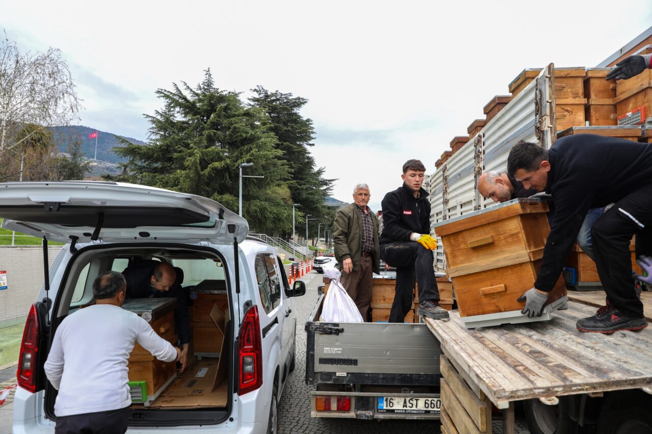 buyuksehir desteklerinde aricilar da unutulmadi