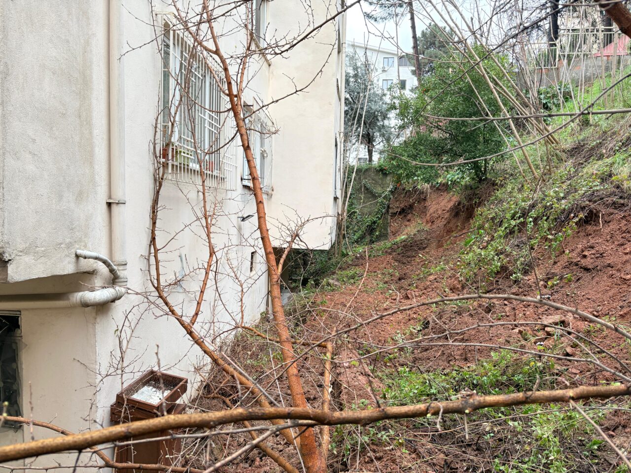 d5be4546 ddd2 4887 8dea 60ebf7c8212e