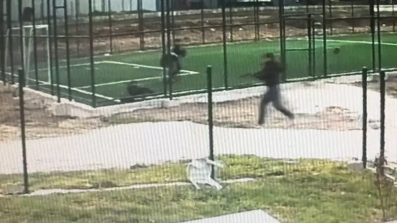 Parkta dehşet! Akranını tüfekle kovalayıp vurdu