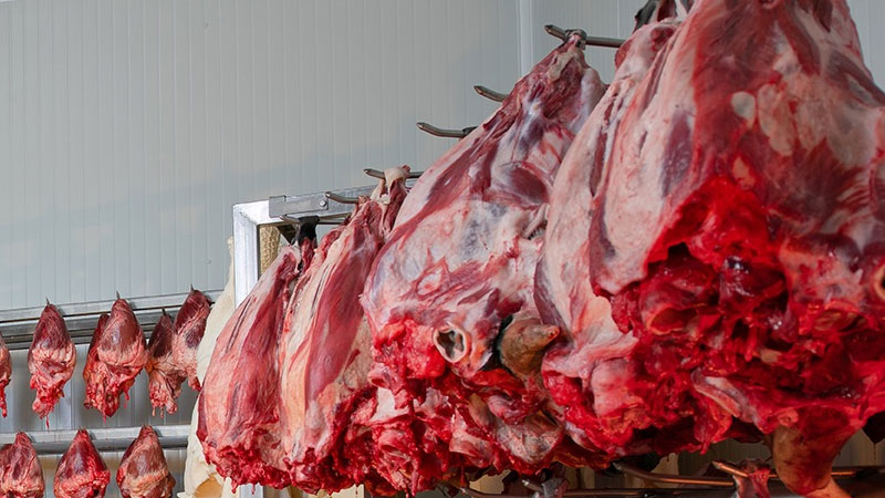 Bursa’da et tüketimine kritik uyarı! Veteriner Hekimler Odası Başkanı uyardı